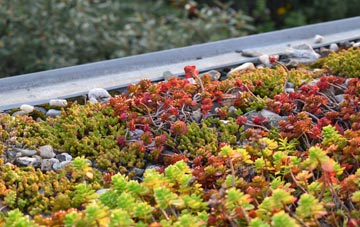 the cost of Wolfs Castle green roof installation