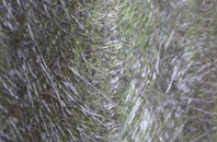 Wolfs Castle fibreglass roof work